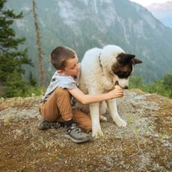 Kids Keen Targhee Low Wp C 11 Kids Keen Targhee Low Wp C -Smart Shoes World 1024009 91 081022170745