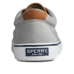Men's Sperry Striper Ii Cvo -Smart Shoes World STS22045 4 17